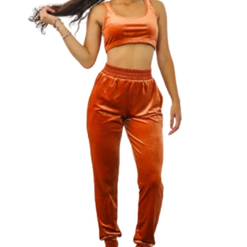 Nwt 2 Piece Outfit Set Lanston Sports Copper Jogger Set Sports Bra Size Small